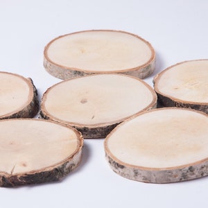 10 birch coasters  4&quot;-5&quot; , wooden slices, rustic wedding decoration, wood coasters,  wood discs for home decors