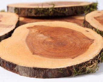 Wood  coaster 3"-4" , wedding coaster, drink coaster, rustic wedding decor, wood discs, tree slice, wood circles, woodland wedding decor
