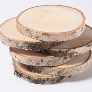 80 birch slices  2&quot;- 3&quot; , wooden slices, rustic wedding decoration, wood coasters,  wood discs for home decors