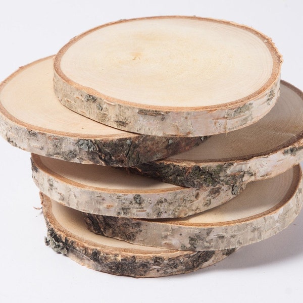 20 birch slices  2"- 3" , wooden slices, rustic wedding decoration, wood coasters,  wood discs for home decors