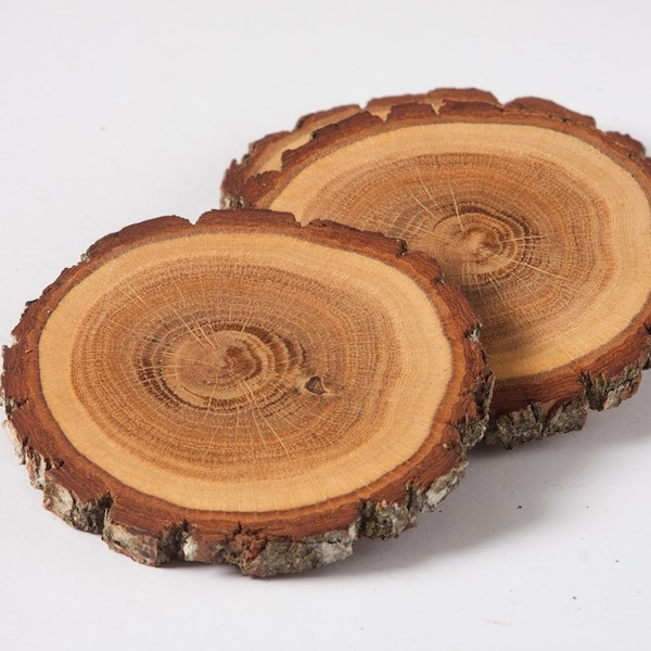 4 eiken houten achtbanen 3" houten segmenten, rustieke bruiloft decoratie, houten schijven voor thuis decors, bosrijke bruiloft centepiece, drink coasters