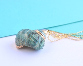 Green Gold Natural Sea Shell jewelry, sea shell necklace, sea shell pendant, gold covered shell, Mermaid gift, beach lover gift Gift for Her