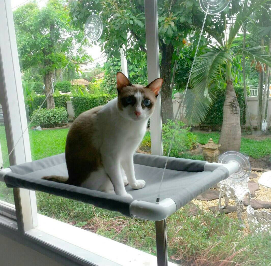 Window Cat Bed Cat Bed Cat Cot Cat Hammock Cat Furniture Etsy