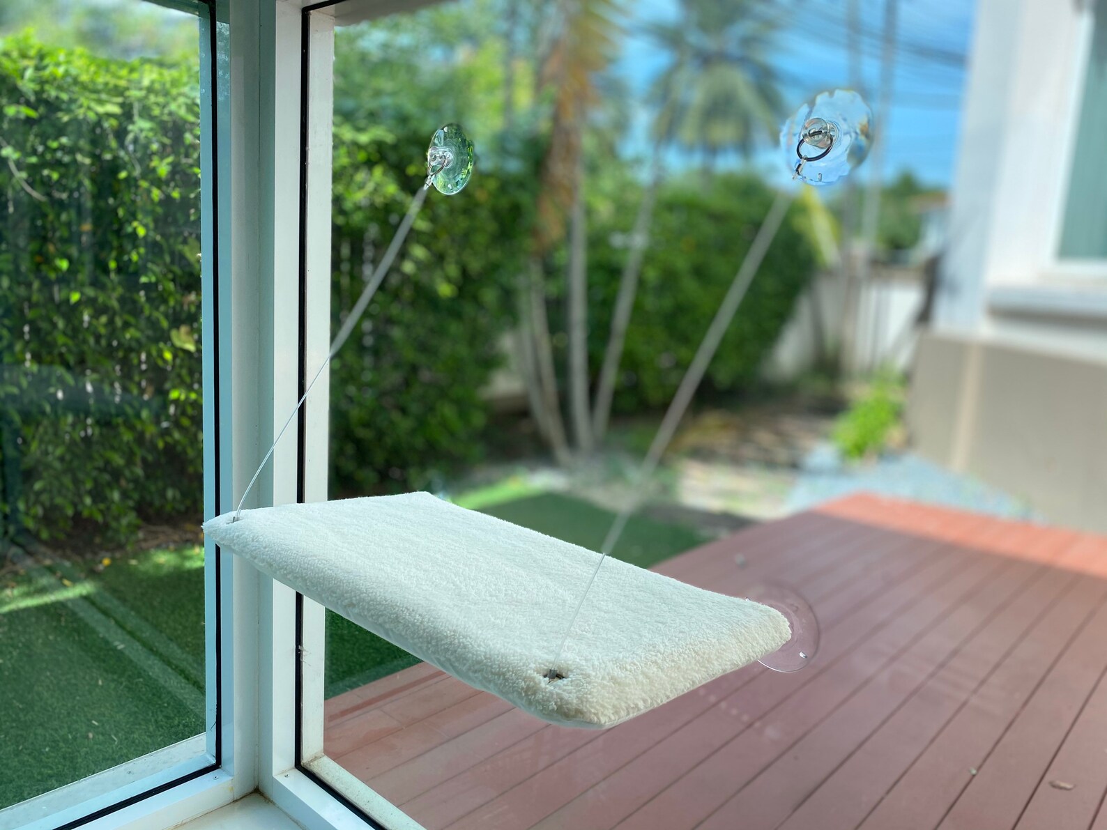 Einzigartige Eco-Design Fenster Katzenbett Katzenmöbel - Il 1588xN.2698632412 J8xg