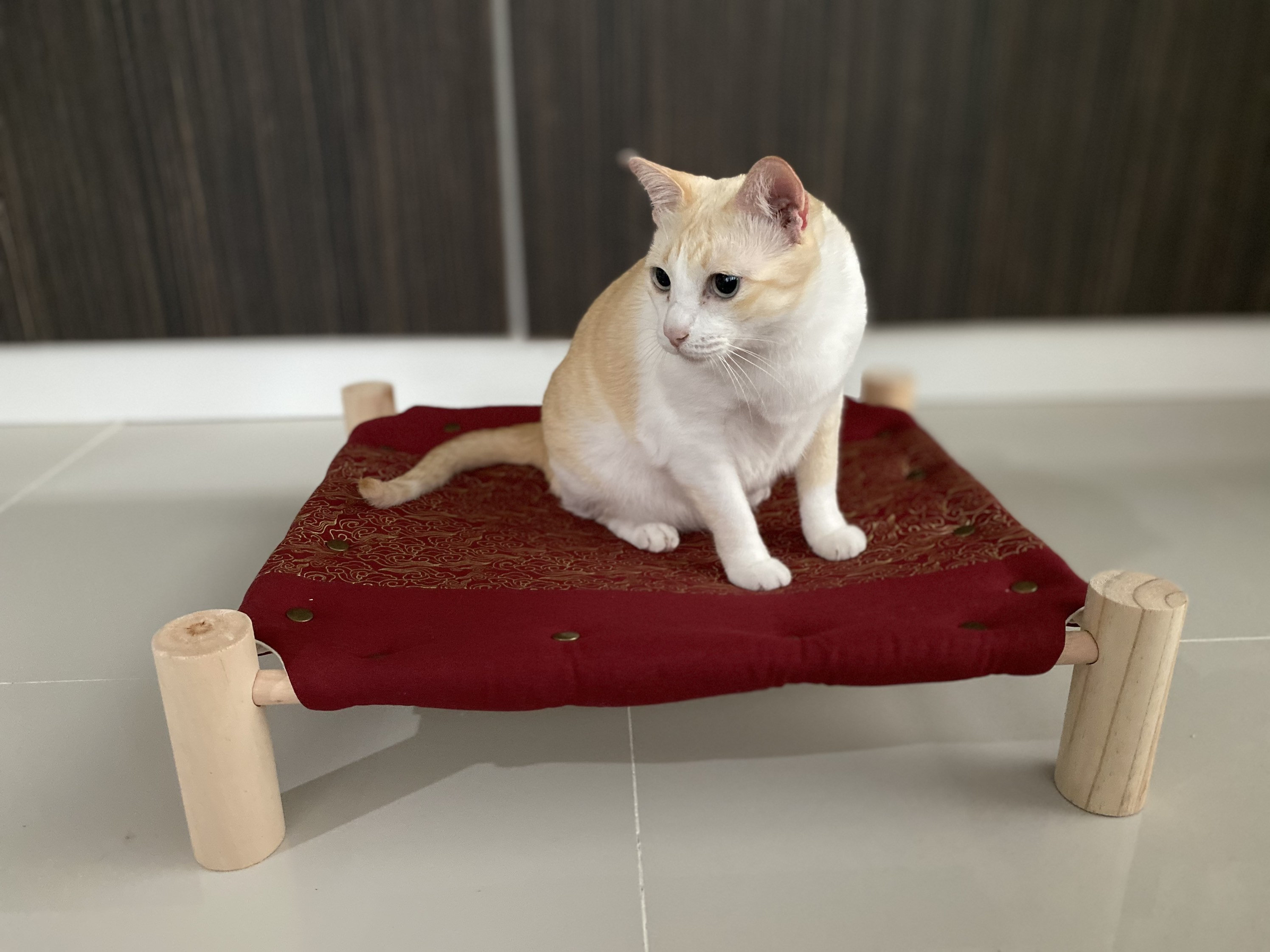 Unique Cat Cot 45cm x 50cm x 13cm Genuine Sheepskin Rug Etsy