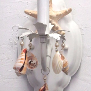 Beach Cottage SeaShell Wall Sconce shabby shell sconce light custom made to order
