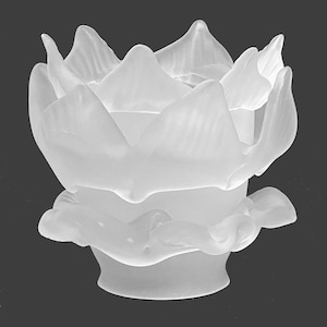 New Clear Etched Satin finish Glass Rose Petal fixture shade, 2-1/4 inch fitter, 4 inch height, 4-1/8 inch diameter.