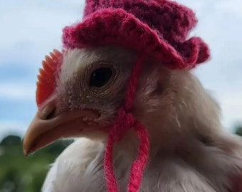 Tiny Crochet Pet Hat