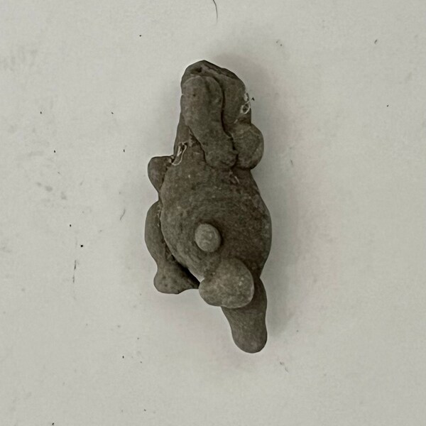 Natural Vermont Clay Concretion Climbing Rabbit Little People Fairy Healing Stone Wire Wrapping Material