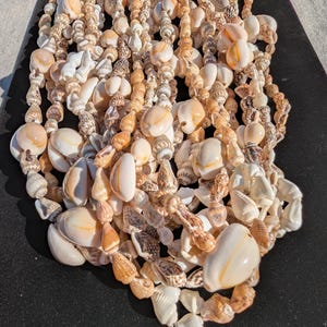 May include: A multi-strand necklace composed of numerous small, polished seashells in shades of cream, tan, and brown. The shells vary in size and shape, featuring smooth, rounded surfaces and textured, spiral patterns strung together in a dense cluster.