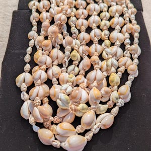 May include: A multi-strand necklace composed of numerous small, polished, cream and peach-colored seashells. The shells are strung together in vertical rows, creating a layered effect with a smooth, rounded texture throughout the entire piece.