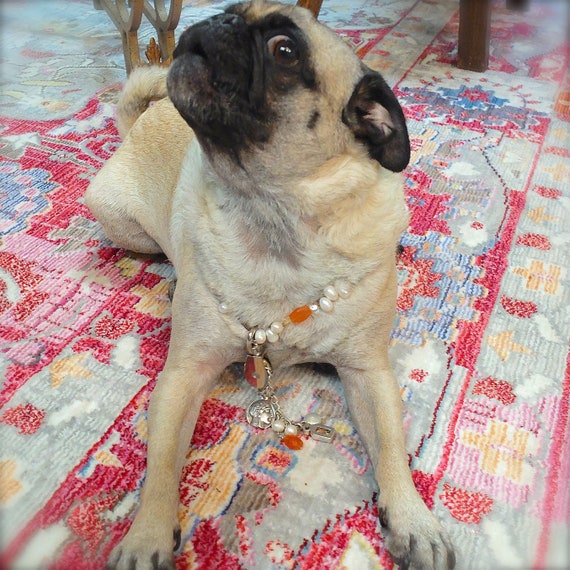 Pull pug cheap