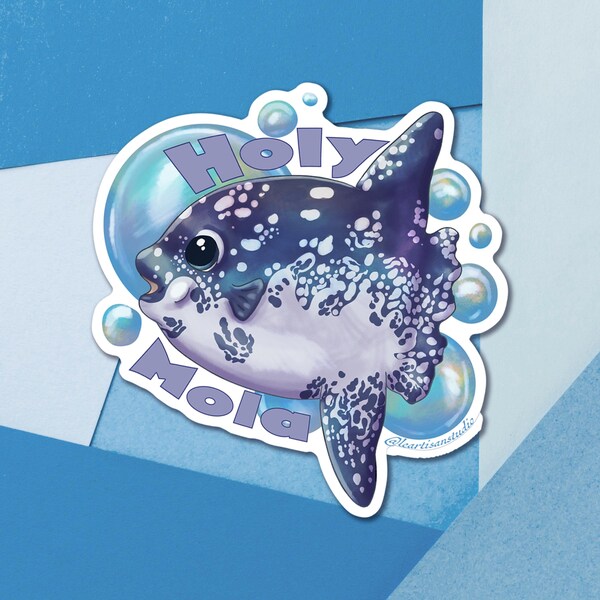 Sunfish Decals Etsy