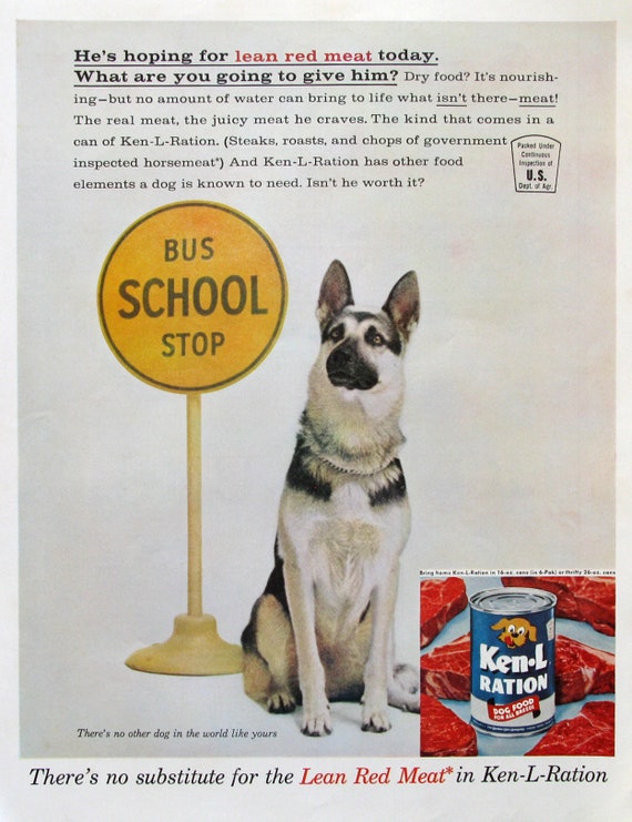 Is Horse Meat In Dog Food