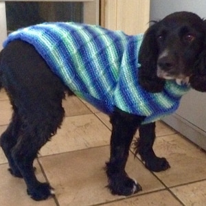 May include: A black dog wearing a blue and green striped knitted sweater. The dog is standing on a tiled floor, with a neutral background. The sweater has a ribbed texture and covers the dog's back and chest.