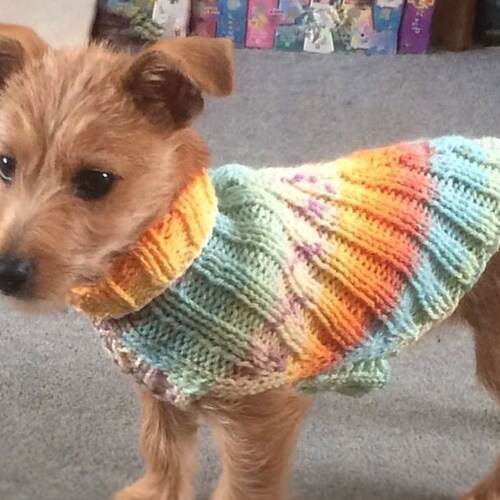 Tunisian Crochet Dog Sweater Pattern Jovi's Jumper Etsy Australia