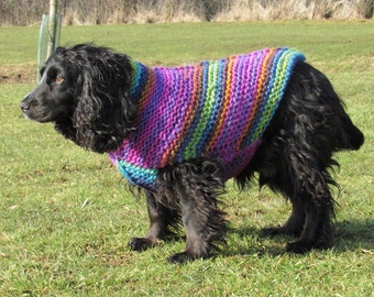 Fred's Chunky Dog Jumper pattern