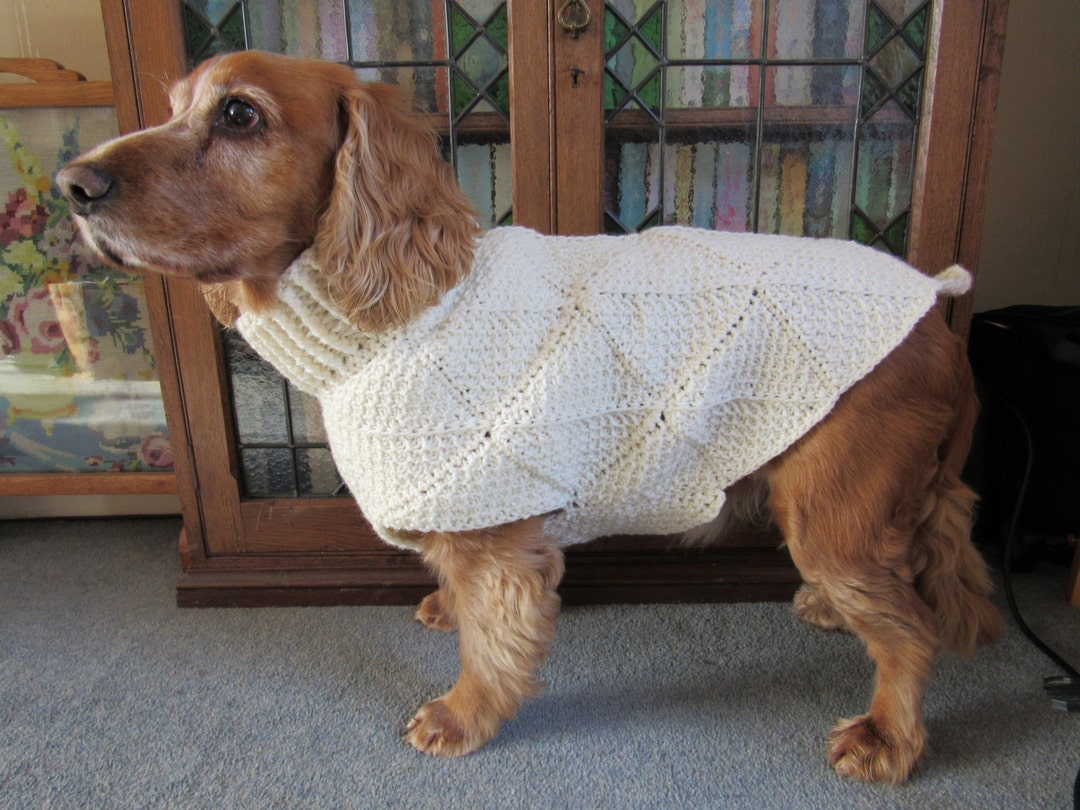 Tunisian Crochet Dog Sweater Pattern Jovi's Jumper Etsy