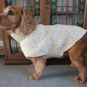 Tunisian Crochet Dog Sweater Pattern - Jovi's Jumper