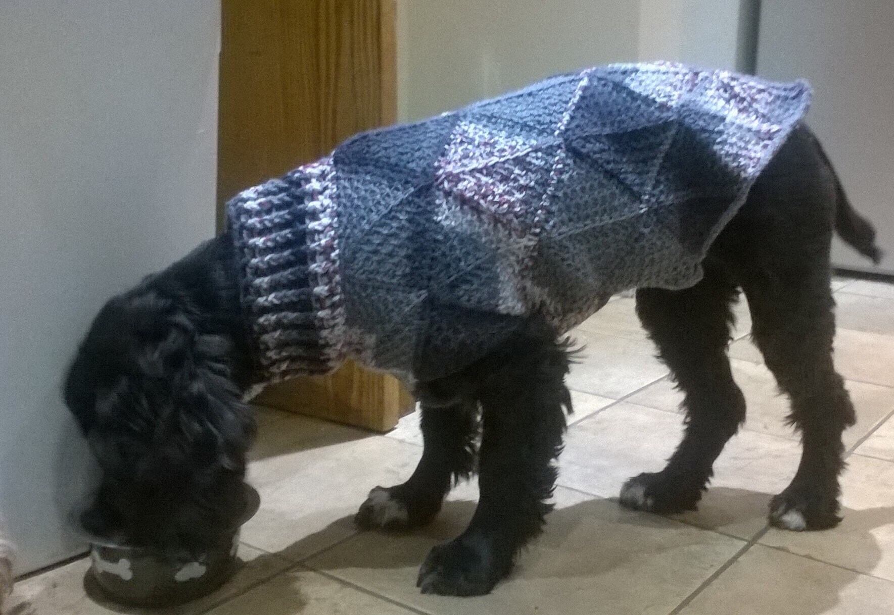 Tunisian Crochet Dog Sweater Pattern Jovi's Jumper Etsy