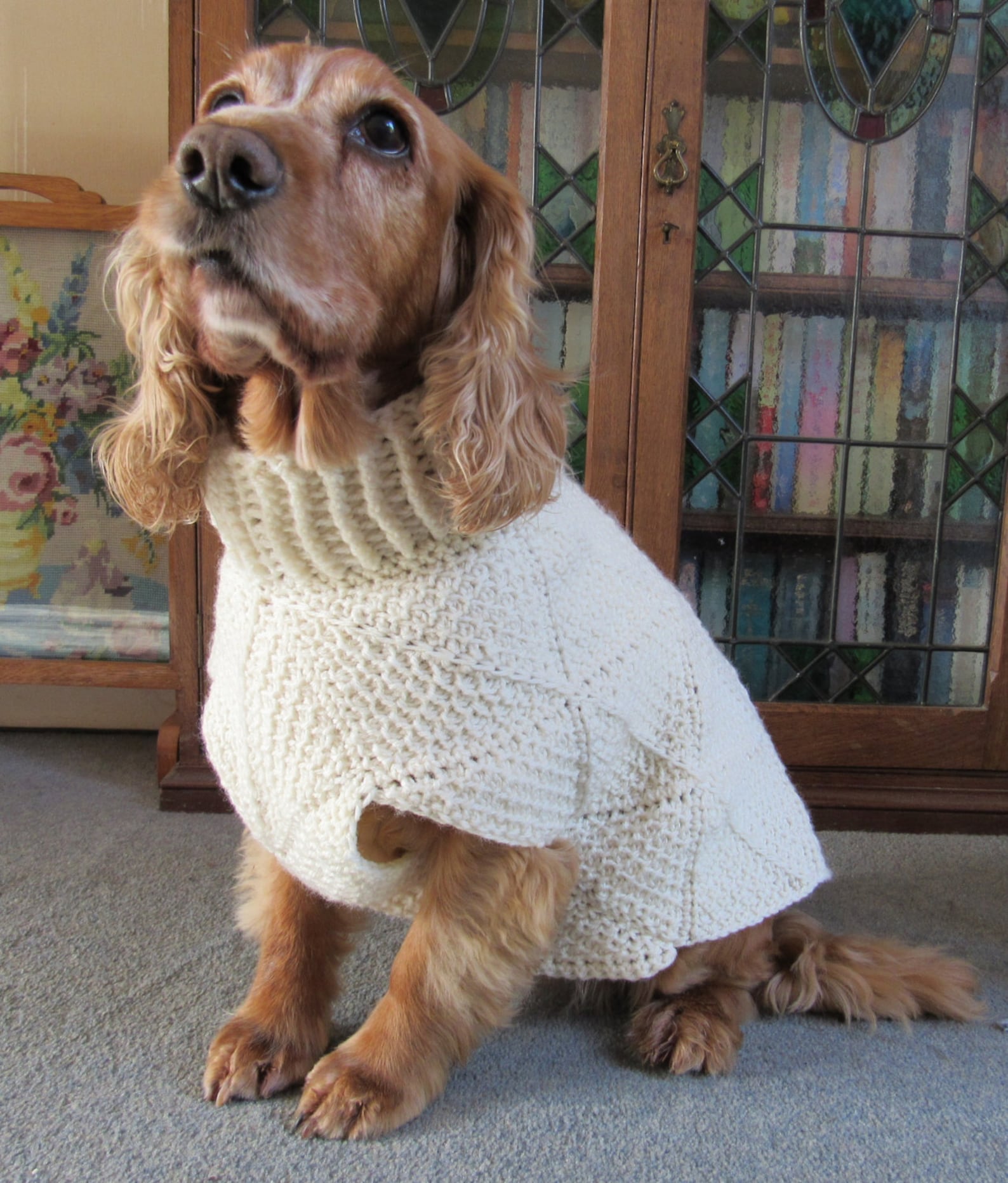 Tunisian Crochet Dog Sweater Pattern Jovi's Jumper Etsy