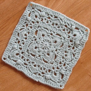 May include: A light blue crocheted square with a delicate floral pattern.