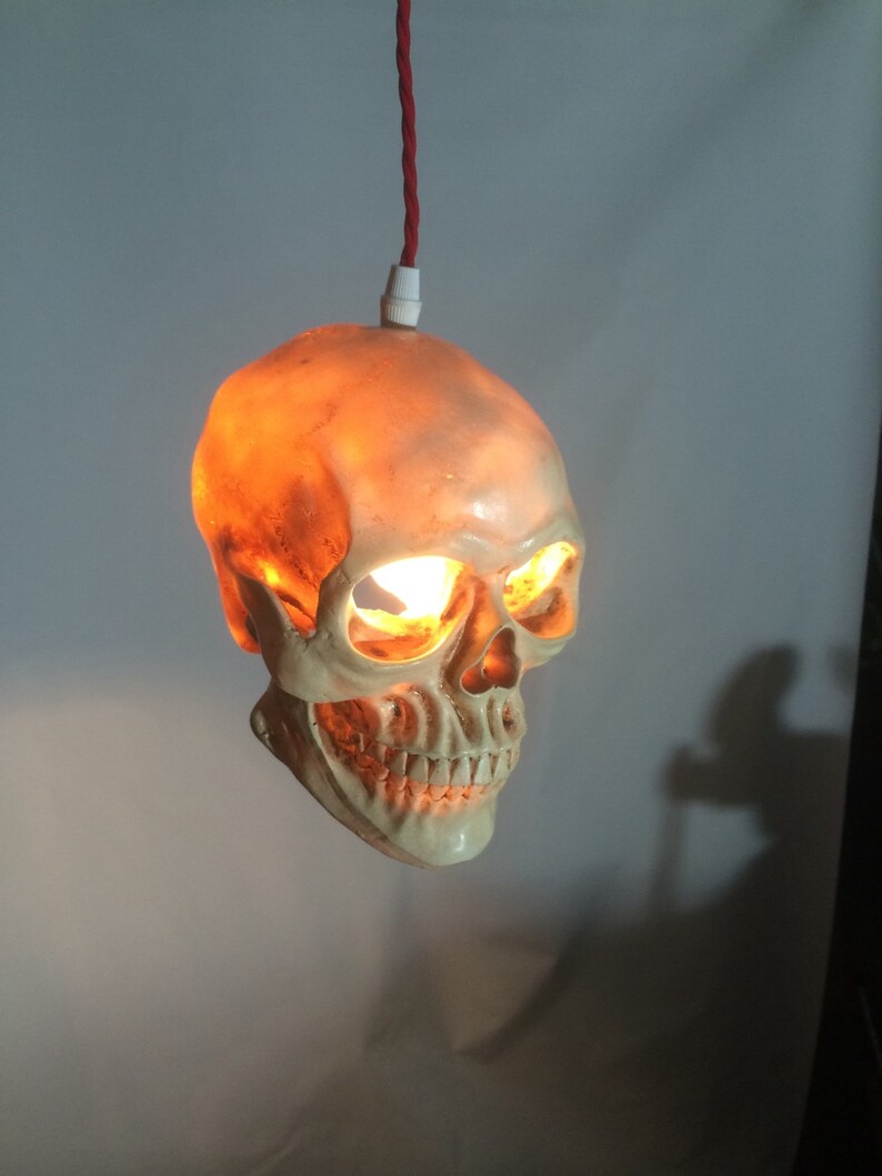 Skull Pendant Ceiling Light Image 0