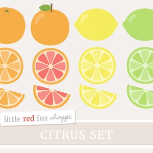 Citrus Fruit Clipart, Fruit Clip Art, Lemon Clipart, Orange Clipart, Grapefruit Clipart, Cute Digital Graphic Design Small Commercial Use