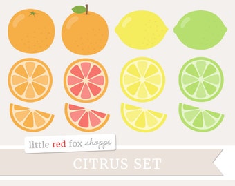 Citrus Fruit Clipart, Fruit Clip Art, Lemon Clipart, Orange Clipart, Grapefruit Clipart, Cute Digital Graphic Design Small Commercial Use
