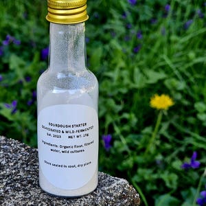 Dehydrated Sourdough Starter – Wild-Fermented | 15g | Est. 2023