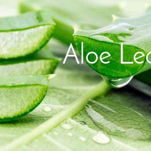 May include: Close-up of a green aloe vera leaf with droplets of juice. The leaf is cut into slices and the text "Aloe Leaf Juice" is visible.