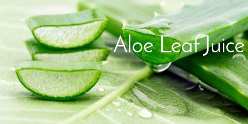 Organic Aloe and Cucumber Foaming Face Wash and Cleanser for Sensitive to Normal Skin image 2