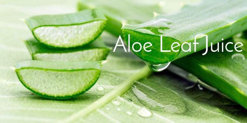 May include: Close-up of a green aloe vera leaf with droplets of juice. The leaf is cut into slices and the text "Aloe Leaf Juice" is visible.