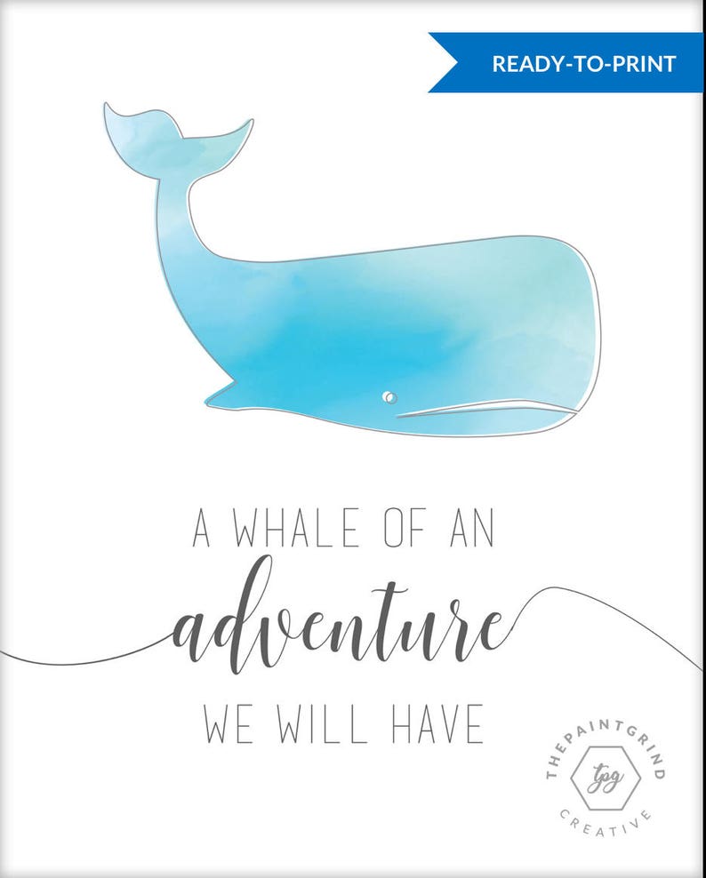 A whale of an adventure image 2