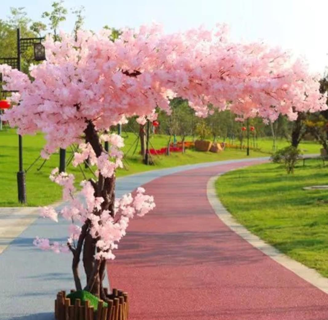 Cherry Blossom Trees - Etsy