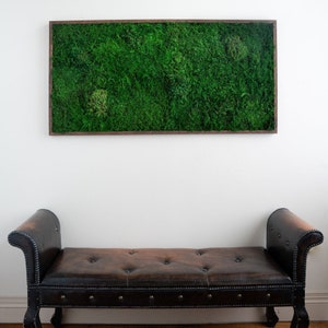 Moss Wall Art, Large Preserved Moss Decor, Living Plant Decor, Real Moss Art  Frame, Housewarming Gift 