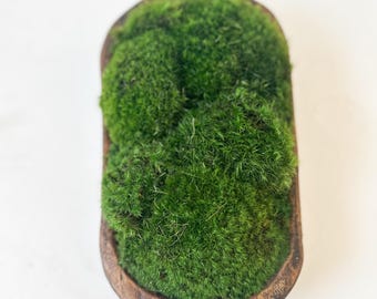 Small Preserved Moss Dough Bowl – 9x5 Centerpiece Peaceful Home Accent