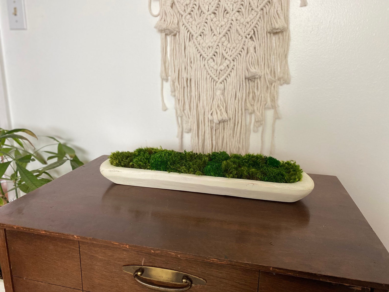 Dough Bowl Coffee Table Decor With Preserved Moss Rustic Home Etsy