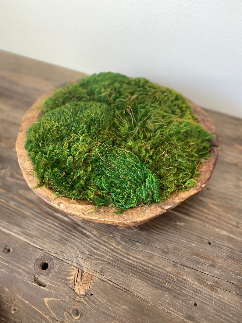 Round Dough Bowl Preserved Moss Centerpiece Home Office Decor Etsy