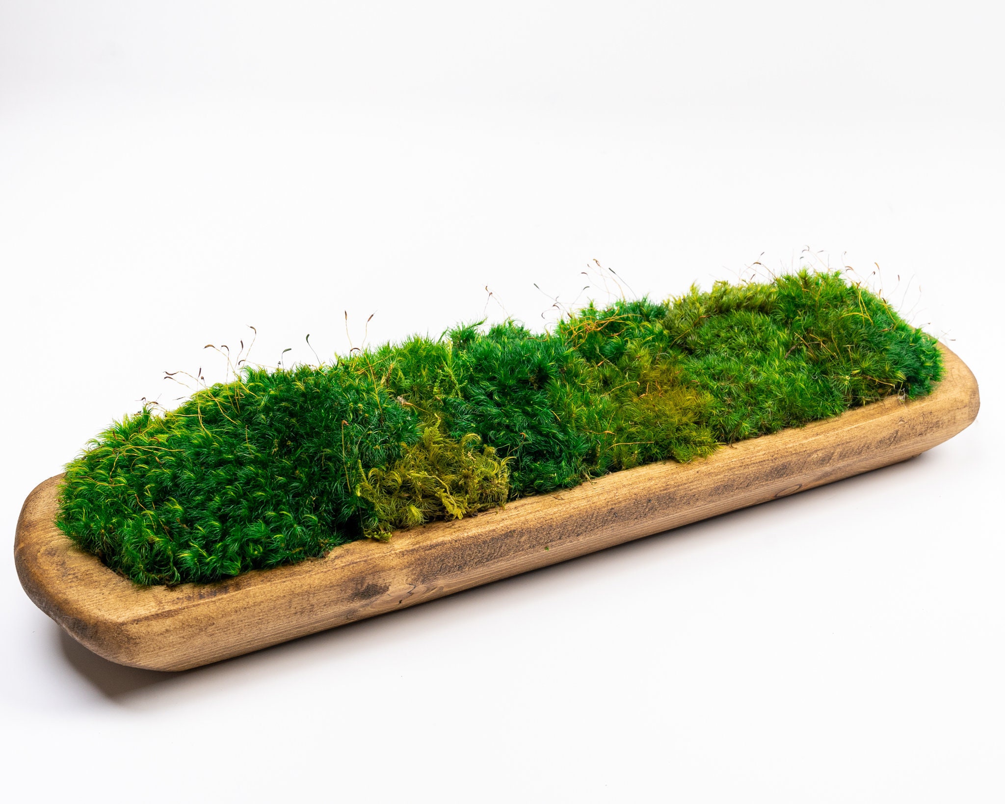 The Crescent Moss Bowl — Wrapped in Moss