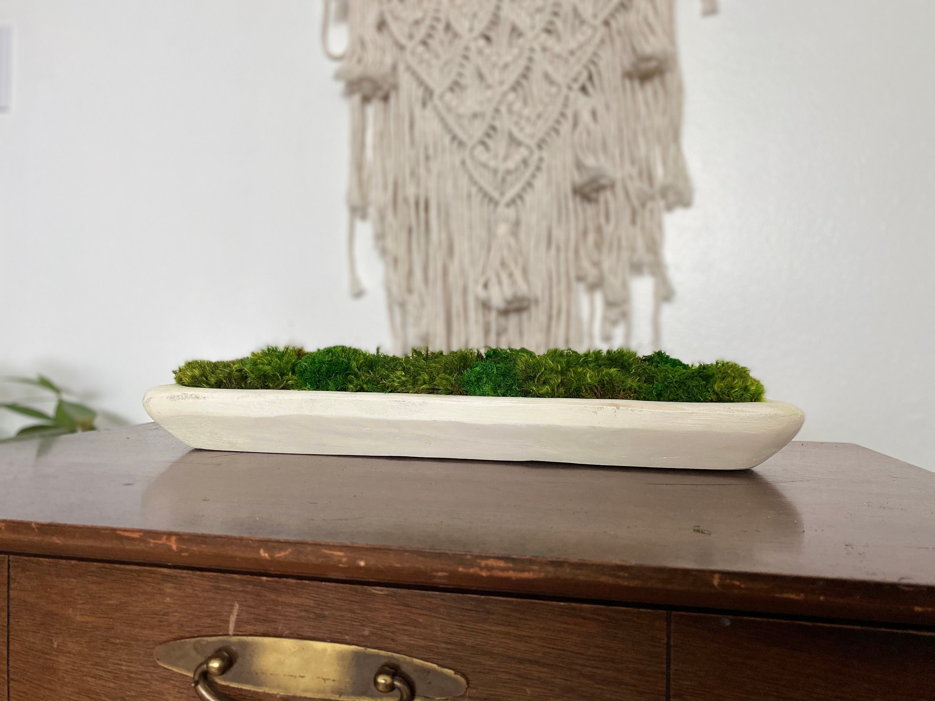 Dough Bowl Coffee Table Decor With Preserved Moss Rustic Home Etsy