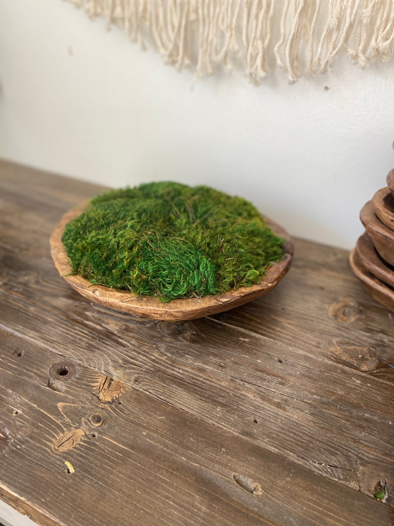Round Dough Bowl Preserved Moss Centerpiece Home Office Decor Etsy