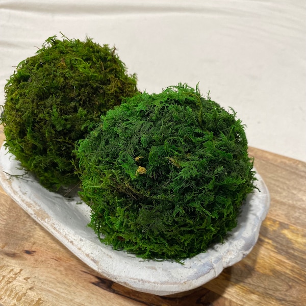 Moss Ball Large 4" Preserved Dough Bowl Decor Tray Accents