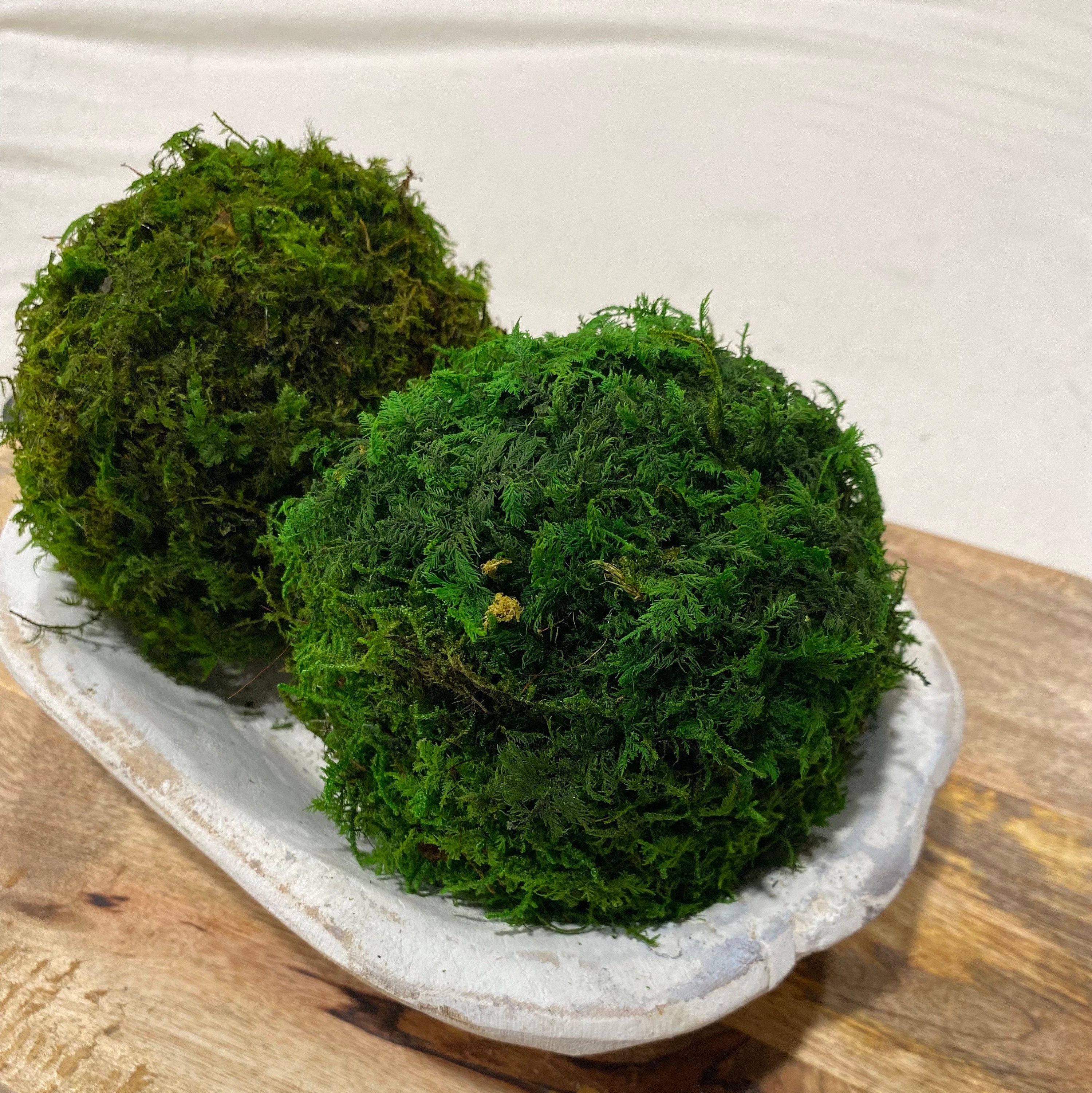 Decorative Moss Balls Set of 2