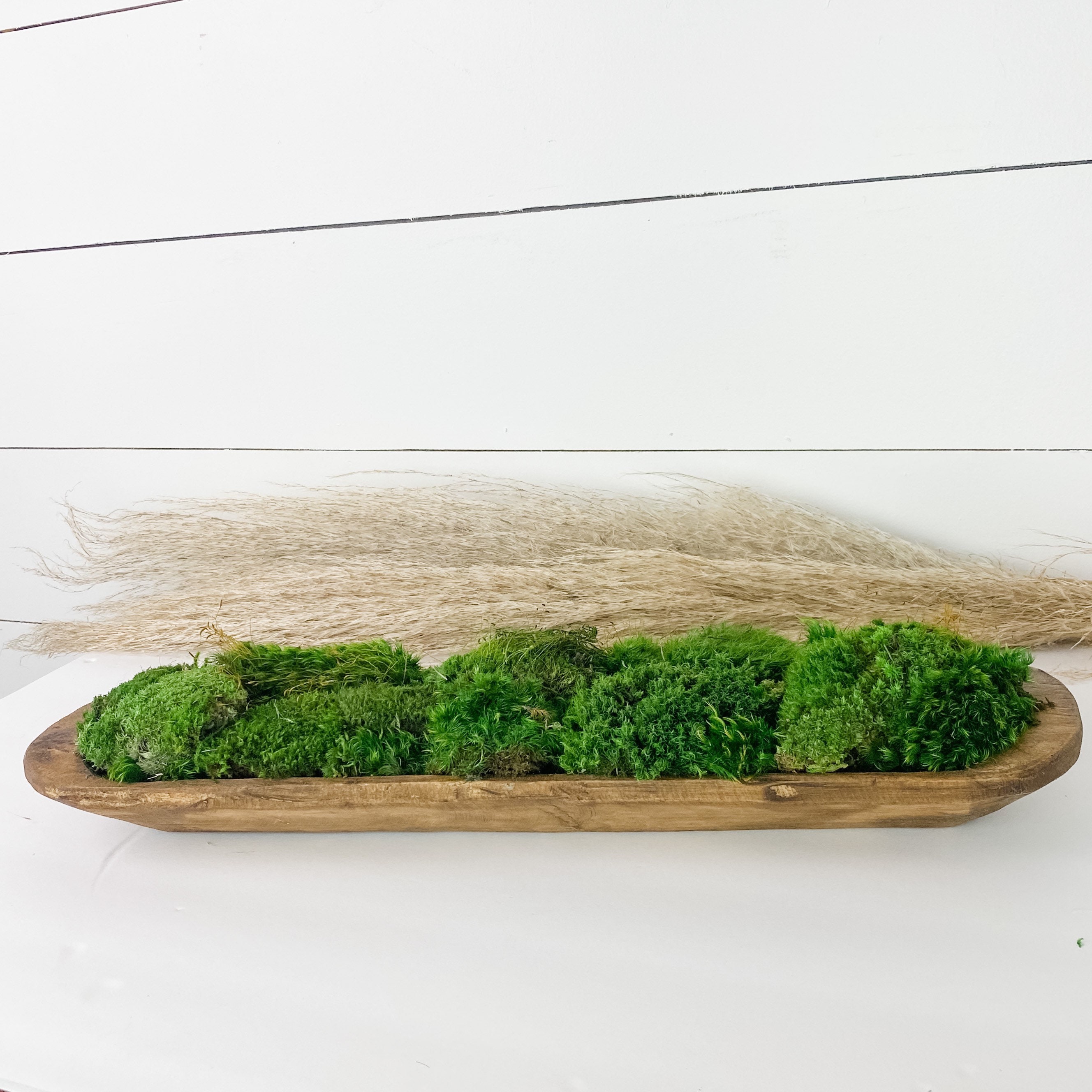 Preserved short moss, Leucobryum, pole moss Green 20x50cm, for DIY moss  wall, moss terrarium, moss centerpiece, moss bowl, centerpiece