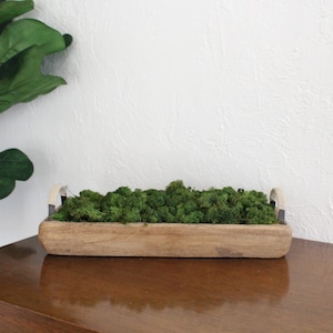 Table Centerpiece Moss Bowl Arrangement With Handles Shelf Sitter Home Decor