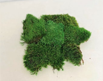 Preserved Mood Moss, DIY Moss Kit, Project Moss, Wedding Decor, Bulk Moss, Gift for friend,