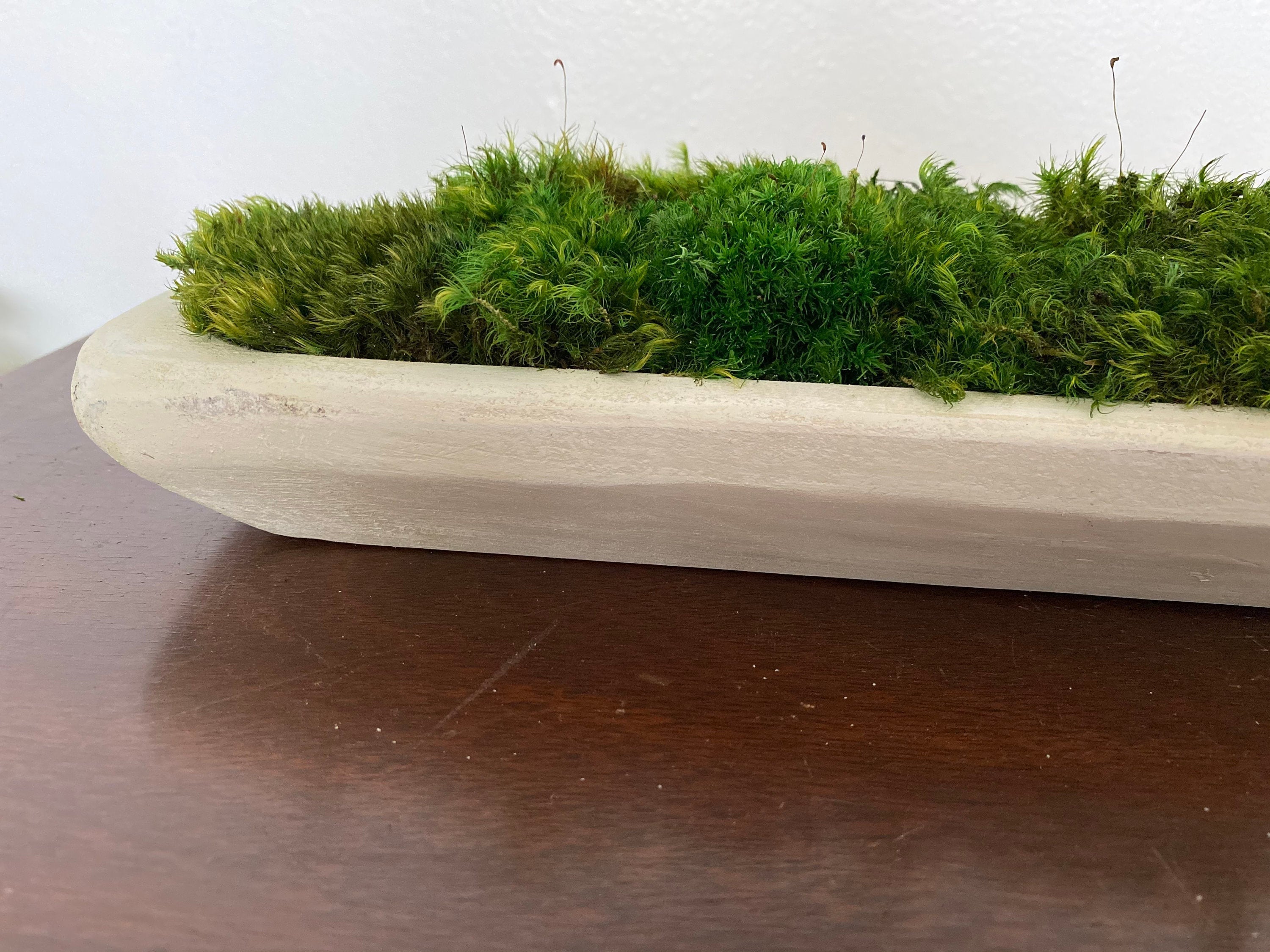 Dough Bowl Coffee Table Decor With Preserved Moss Rustic Home Etsy