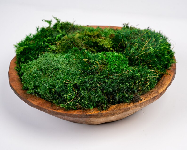 Moss Bowl Table Centerpiece Preserved Moss Dough Bowl Home Etsy