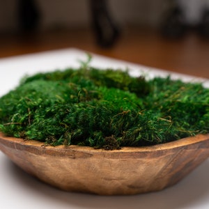 Round Moss Dough Bowl - Centerpiece Table Decor |  Preserved Moss Home Decor | Brown Wood Bowl With Moss For Office Decor